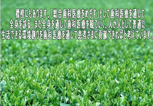 ���ȁ@�a��s�@�y�������Ȉ�@�z�@�ڕW